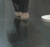 Stephanie Hall walks the Céline Spring/Summer 2013 womenswear show in Paris. Video via Céline